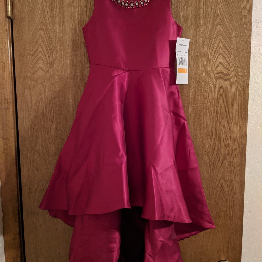 Little Girls "Rare Editions" dress